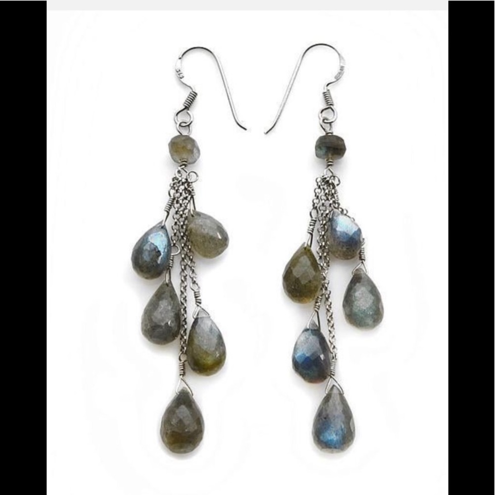 Sterling Silver Labradorite Drop Earrings NWOT